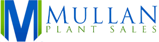 Mullan Plant Sales